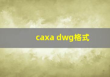 caxa dwg格式